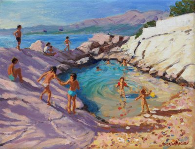 Meerespool, Kroatien von Andrew Macara